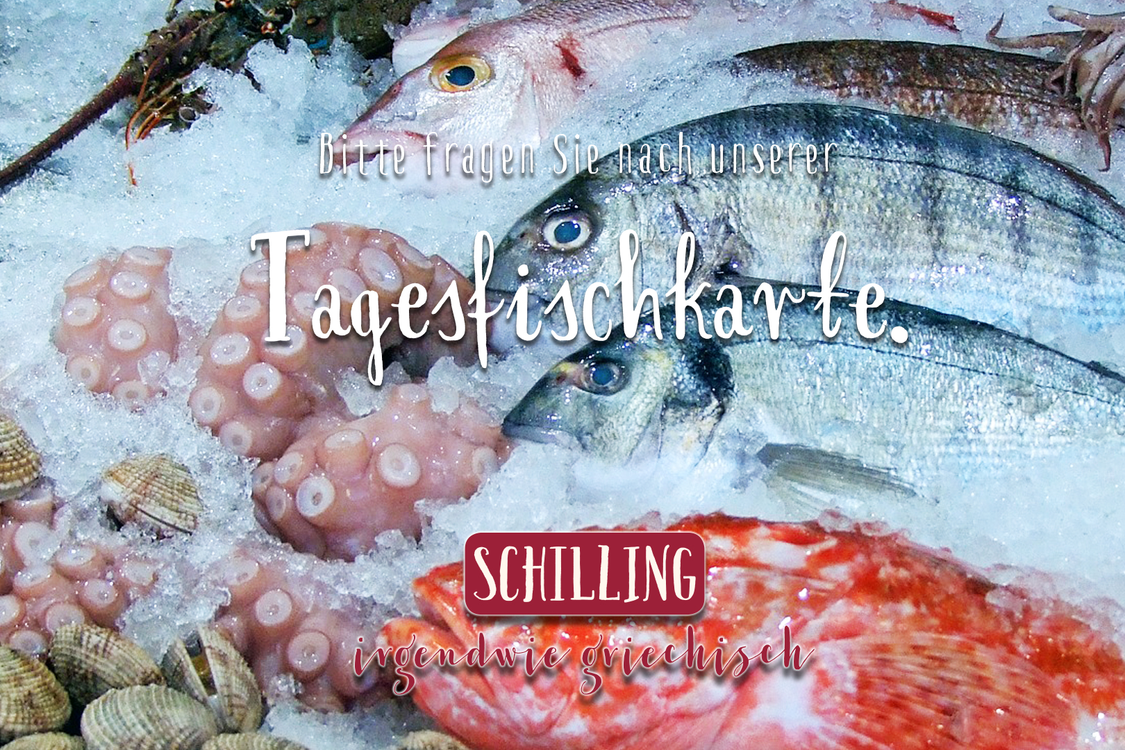 Schilling Tagesfischkarte